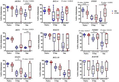 Impaired CpG Demethylation in Common Variable Immunodeficiency Associates With B Cell Phenotype and Proliferation Rate